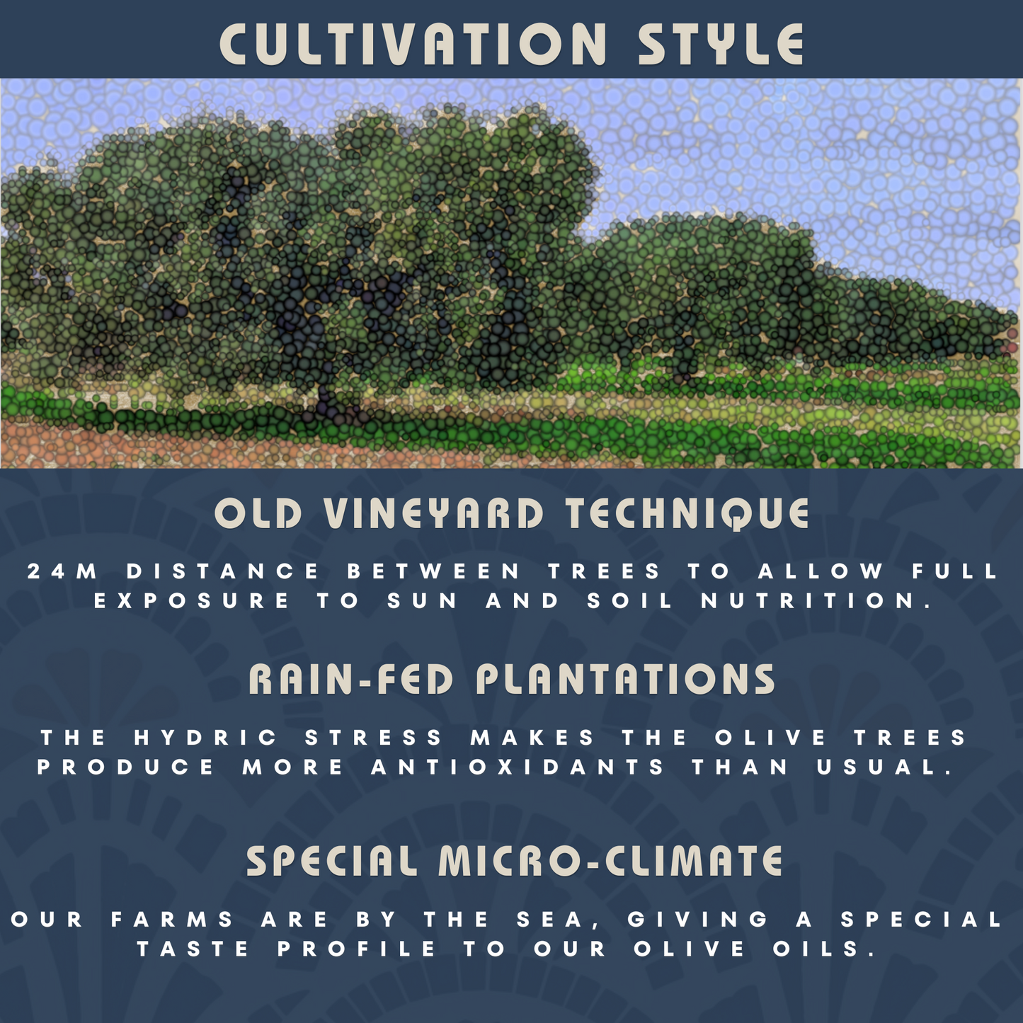 Soleil d’Acholla – Delicate Extra Virgin Olive Oil - Award-Winning