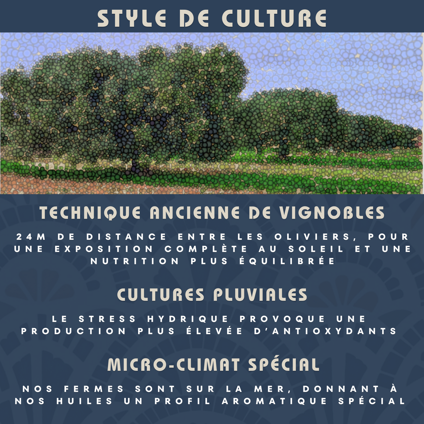 Soleil d’Acholla – Delicate Extra Virgin Olive Oil - Award-Winning