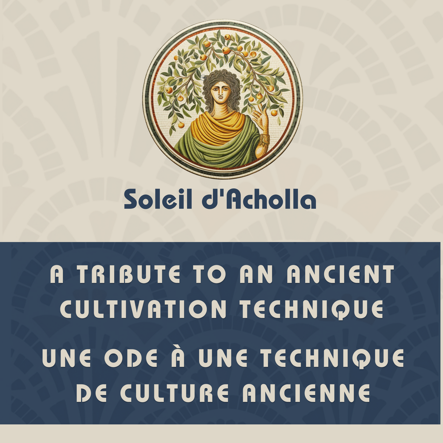 Soleil d’Acholla – Delicate Extra Virgin Olive Oil - Award-Winning