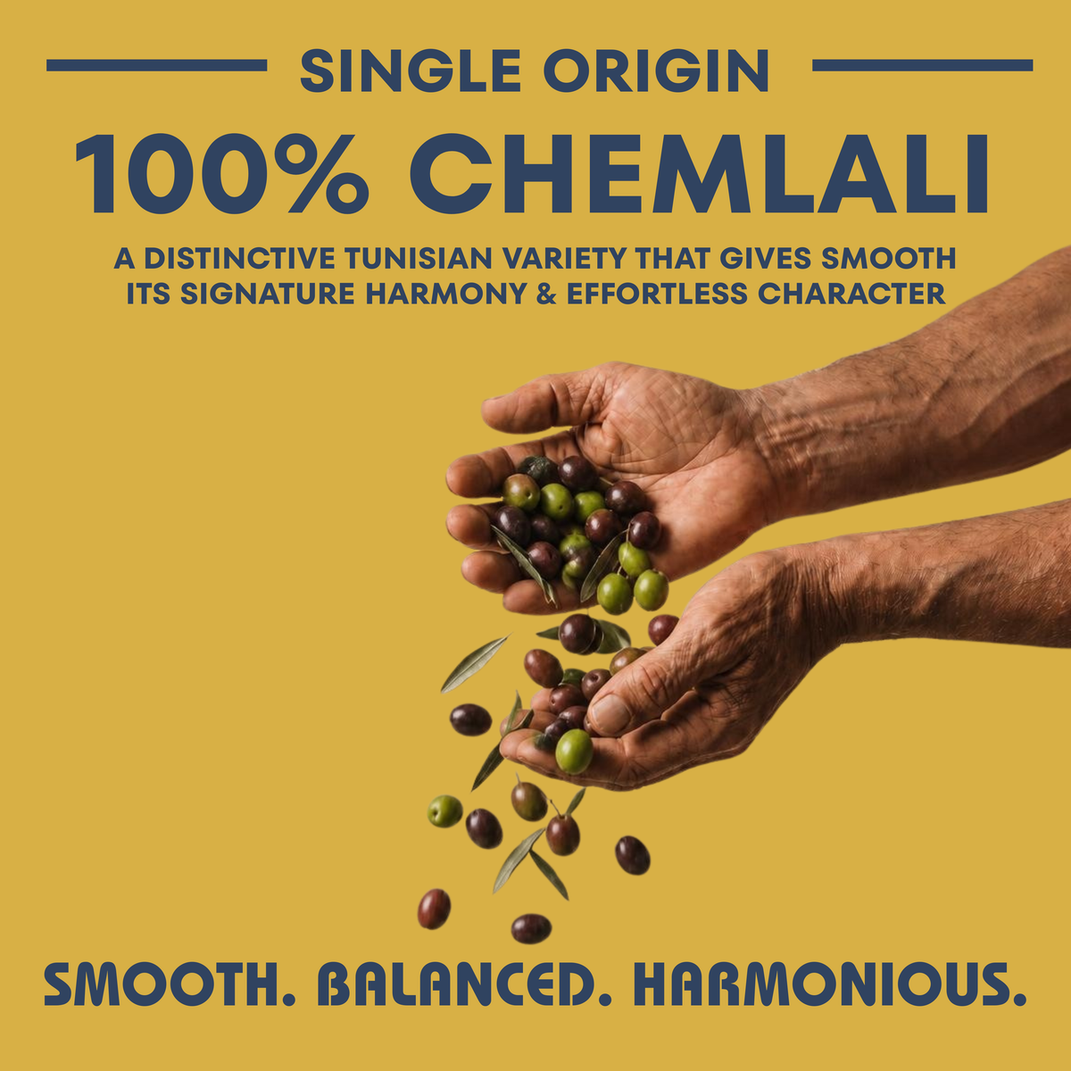 Soleil d’Acholla – Smooth Extra Virgin Olive Oil - Award-Winning