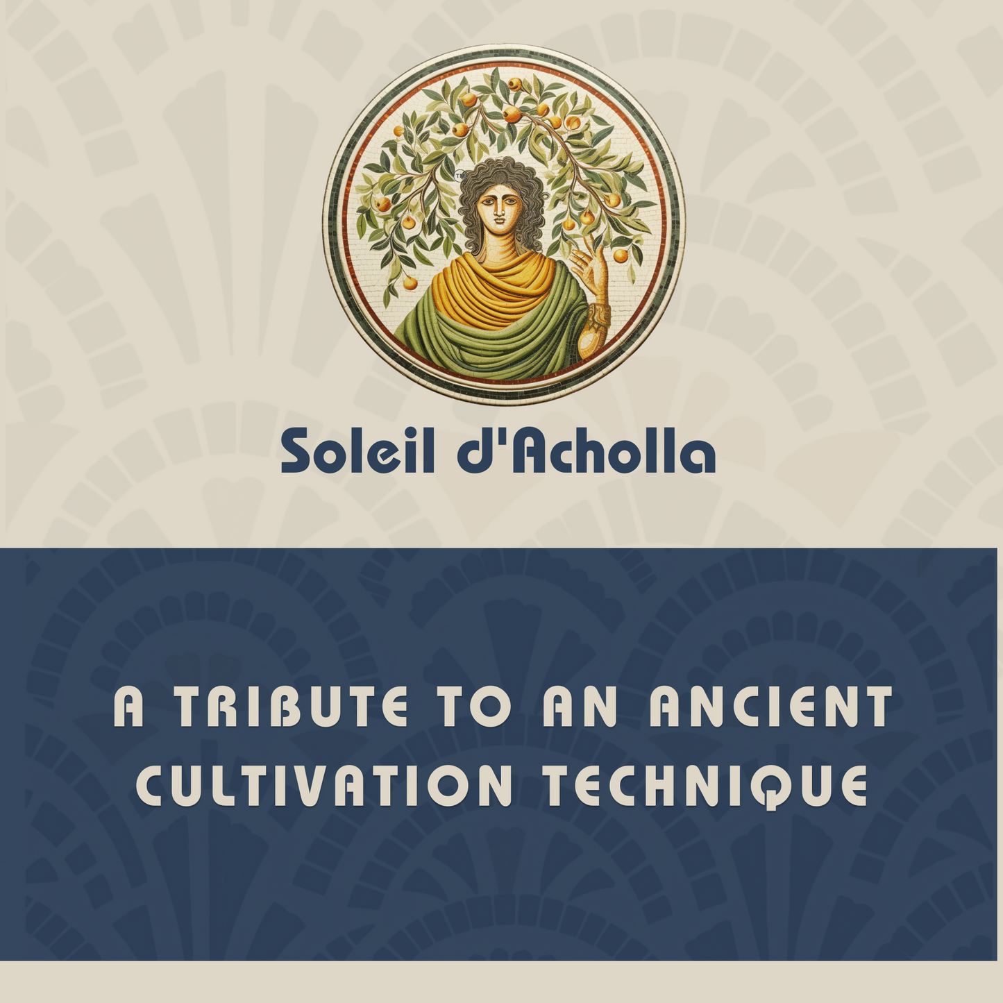 Soleil d’Acholla – Delicate Extra Virgin Olive Oil - Award-Winning