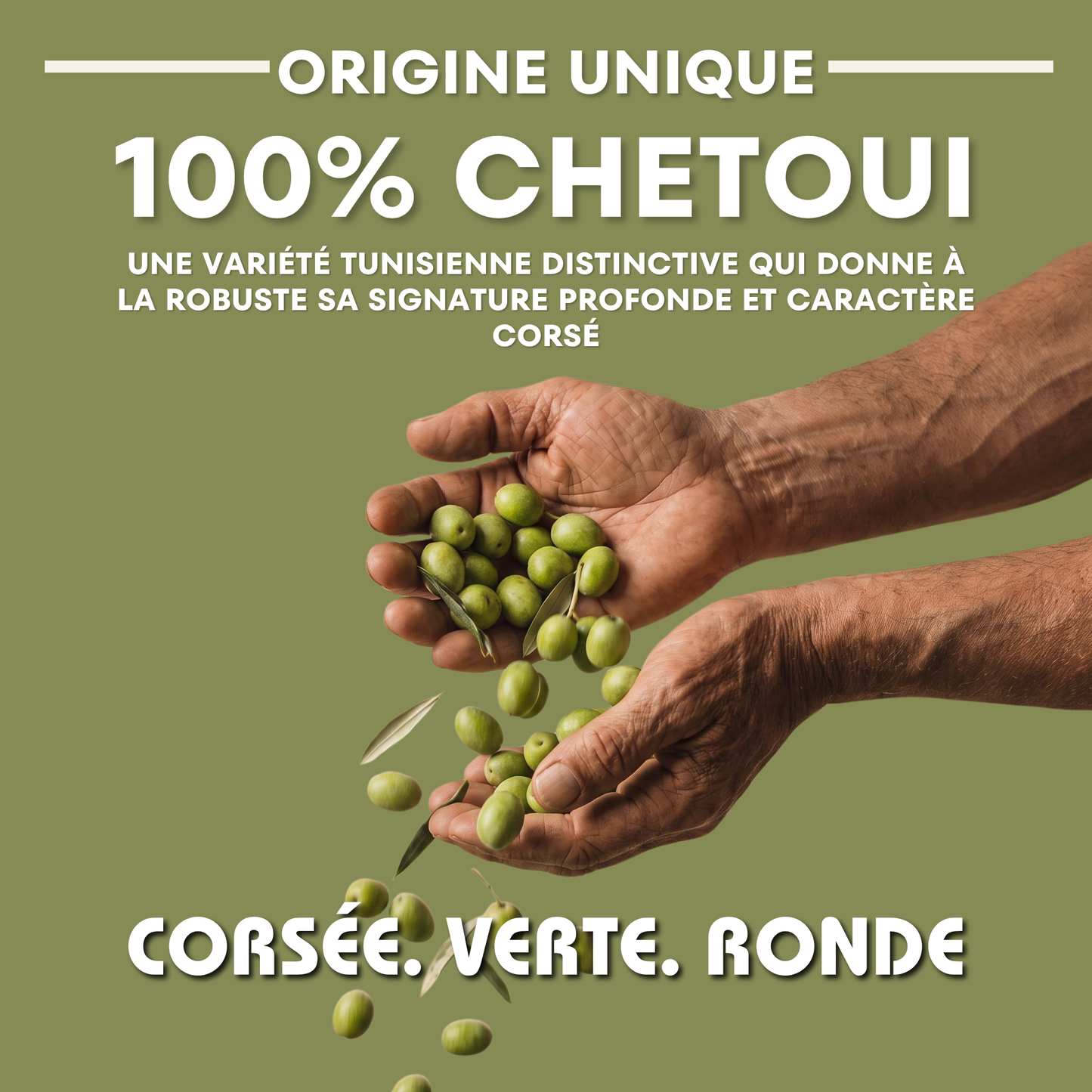 Soleil d’Acholla – Robust Extra Virgin Olive Oil - Award Winning