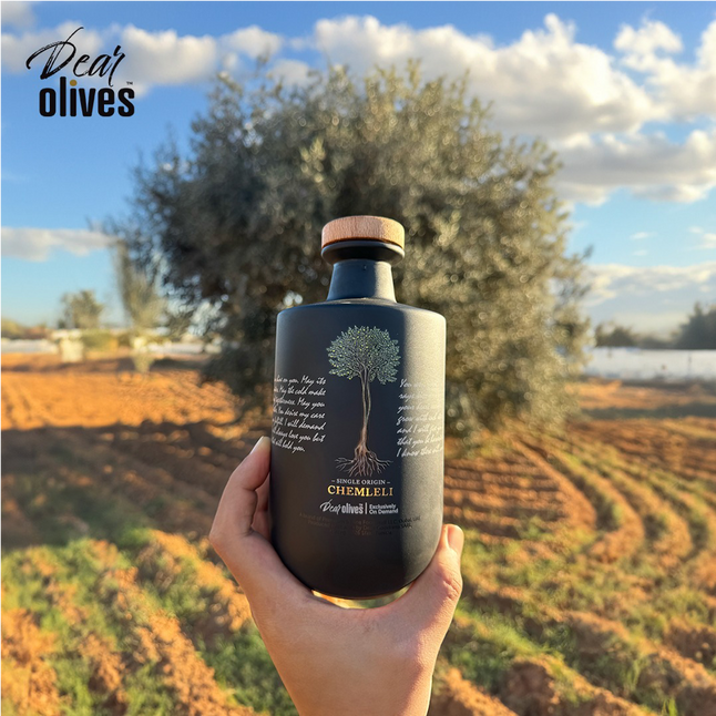 a person holding a bottle of Dear Olives, best olive oil, in front of an olive tree. Premium olive oil. Fine and Gourmet Olive Oil. Chemlali. Centennial olive tree. Organic olive farming. 